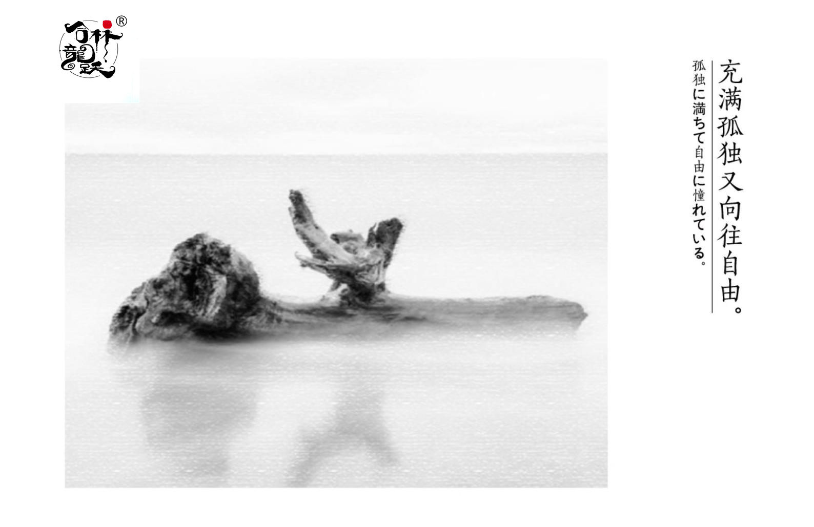 「ドリフトウッド」ブレスレット タイシルバー - 画像 (9)